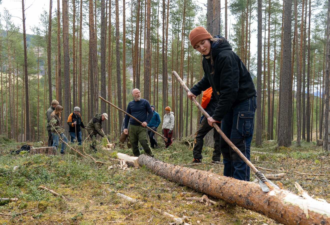 Foto: Hjerleid